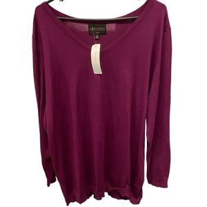 Absolutely Markle V-Neck Pullover Sweater Size 2X NWT